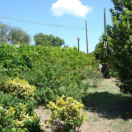 Adelina Bed & Breakfast