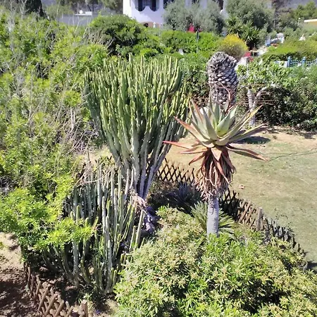 Adelina Bed and Breakfast 3*